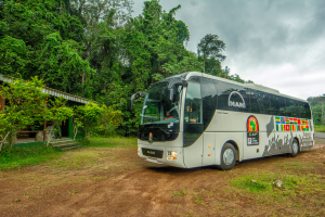 The climate and road conditions in Gabon represent particular challenges for the MAN team buses.